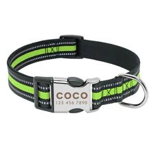 Coleira Pet Personalizada | Para Cachorro